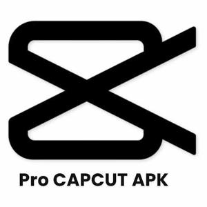 CapCut